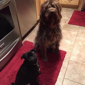 Meet your Posher, Kathy