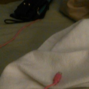 Meet your Posher, Ann