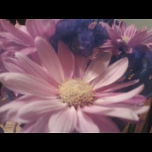 Meet your Posher, Lynn