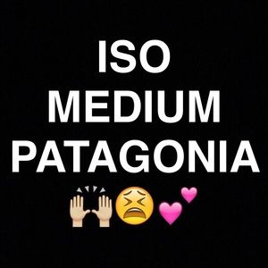 ISO medium Patagonia