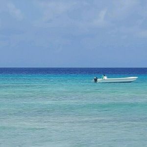 Meet your Posher, Sue