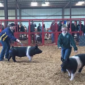 Meet your Posher, Stefanie