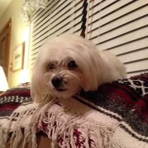 Meet your Posher, Mary