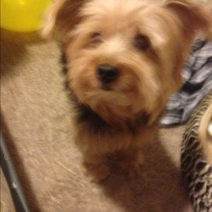 Meet your Posher, Fatima