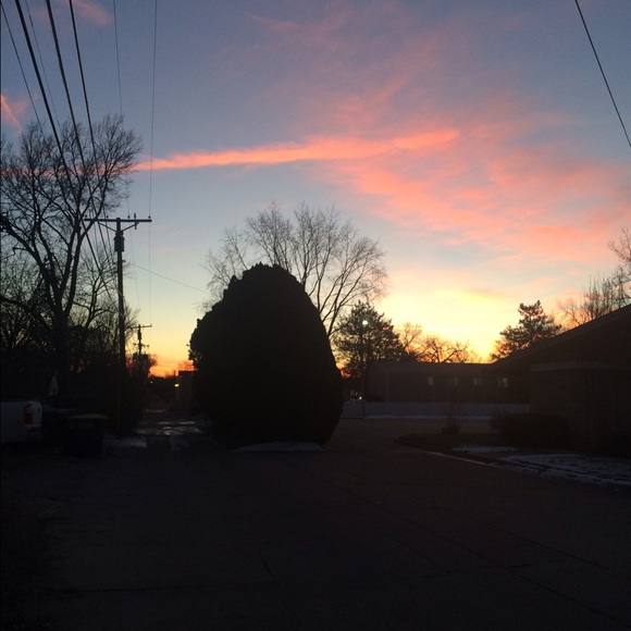 Meet your Posher, Maeve