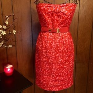 NEW J.Crew pink/red constellation linen dress