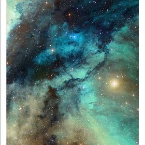 Meet your Posher, Robin