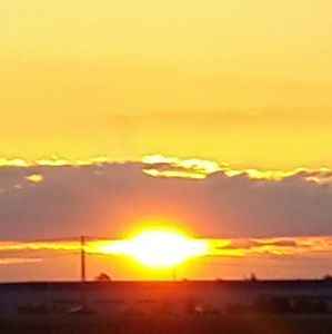 Meet your Posher, Joylette