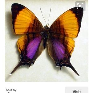 Meet your Posher, Karina