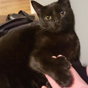 Meet your Posher, Kathi