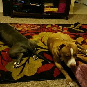 Meet your Posher, Jenice