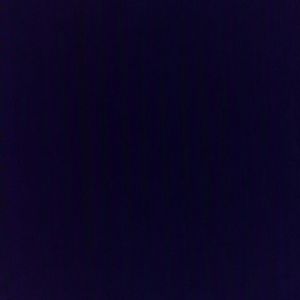 Meet your Posher, Vicente