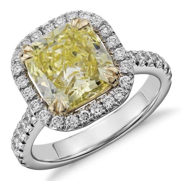 Meet your Posher, Chloe - Picture 2 of 4