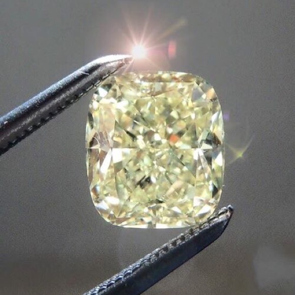 Meet your Posher, Chloe - Picture 3 of 4