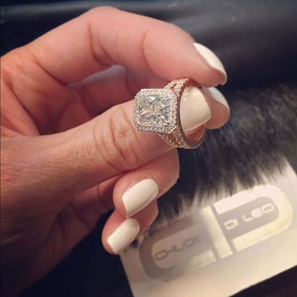 Meet your Posher, Chloe - Picture 4 of 4