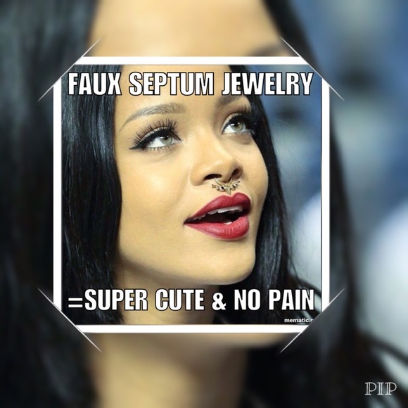 Faux Septum Jewelry NWOT