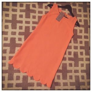 Bright Coral Scallop Edge Shift Dress