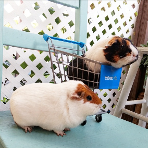 HI POSH SELLERS/BUYERS!  I'M NORDYPANCAKE  😁 - Picture 2 of 4