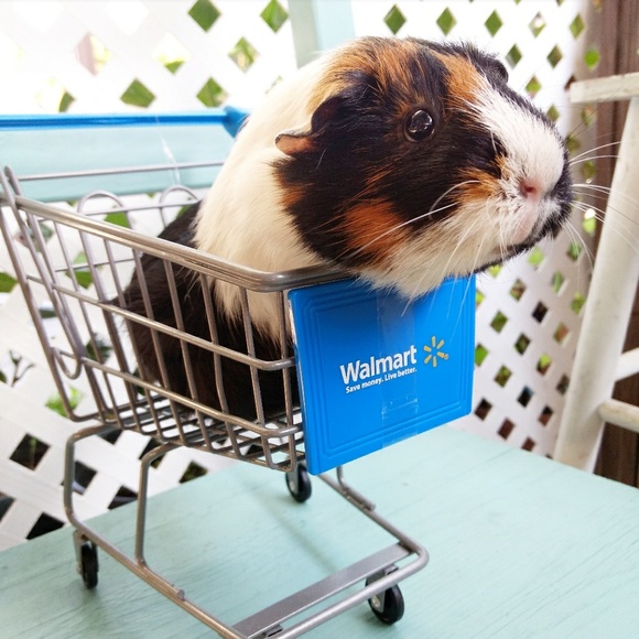 HI POSH SELLERS/BUYERS!  I'M NORDYPANCAKE  😁 - Picture 4 of 4