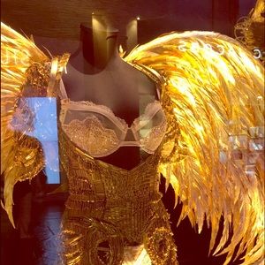 VS Designer Collection crystal sheer blush bra