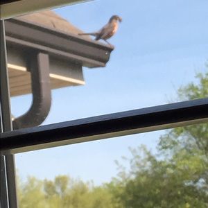 Meet your Posher, Kinberly