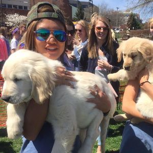 Meet your Posher, Victoria