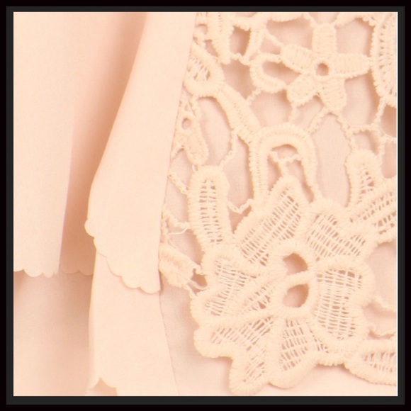 Scallop-Edged Lace Top - Picture 4 of 4