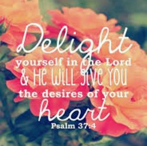 Meet your Posher, Lyn