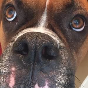 Meet your Posher, Jo