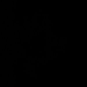 Meet your Posher, Andy