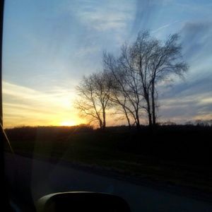 Meet your Posher, Darnella