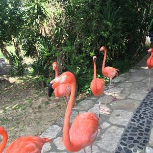 Meet your Posher, Lilian