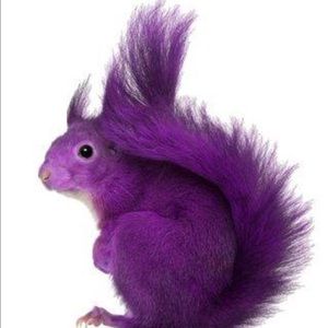 Meet your Posher, Pamela