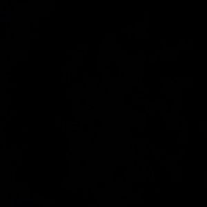 Meet your Posher, Thea