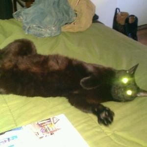 Meet your Posher, Jamie