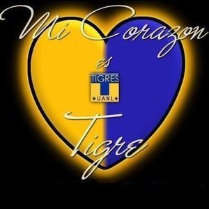 Meet your Posher, Irma