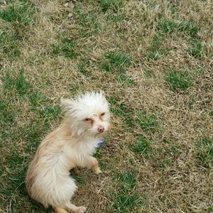 Meet your Posher, Julie