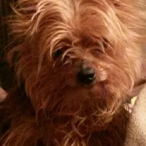 Meet your Posher, Brenda