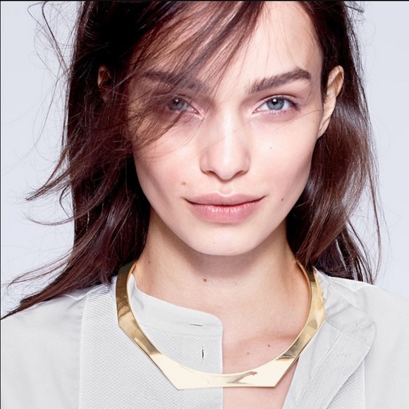 J. Crew Jewelry - J. Crew Shaped Choker