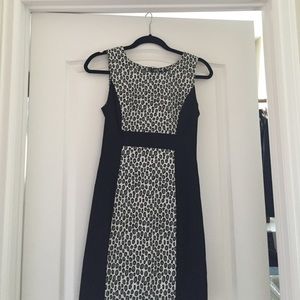 NWT Rachel Zoe dress