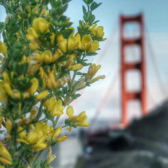 Meet your Posher, Norma - Picture 1 of 1