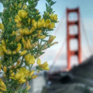 Meet your Posher, Norma