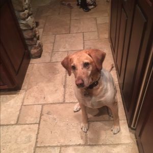 Meet your Posher, Kara