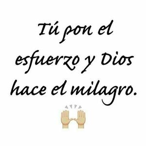 Meet your Posher, Silvia