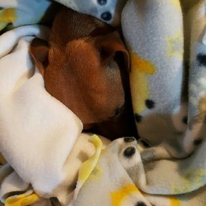 Meet your Posher, Lory