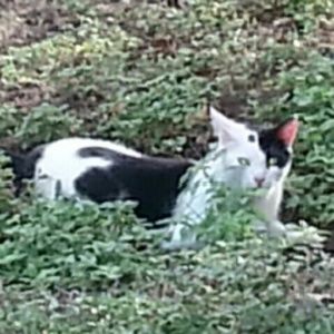 Meet your Posher, Maricela