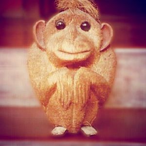 Meet your Posher, Betsy