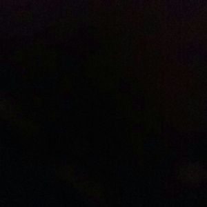 Meet your Posher, Tyra