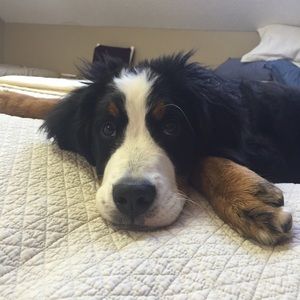 Meet your Posher, Crissy