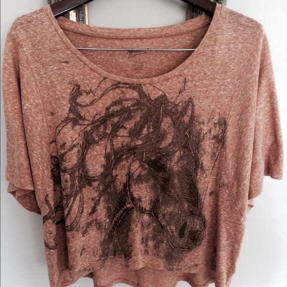 Arizona Jeans cropped hi-lo, horse painting top